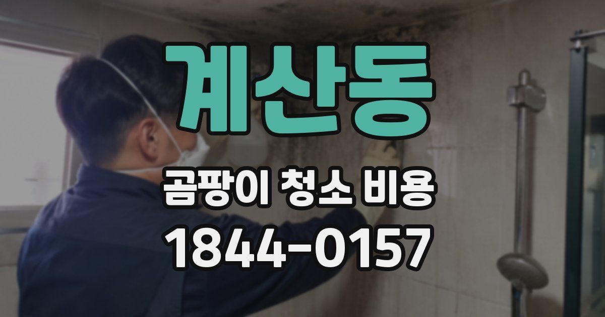 계산동 곰팡이 청소 비용
