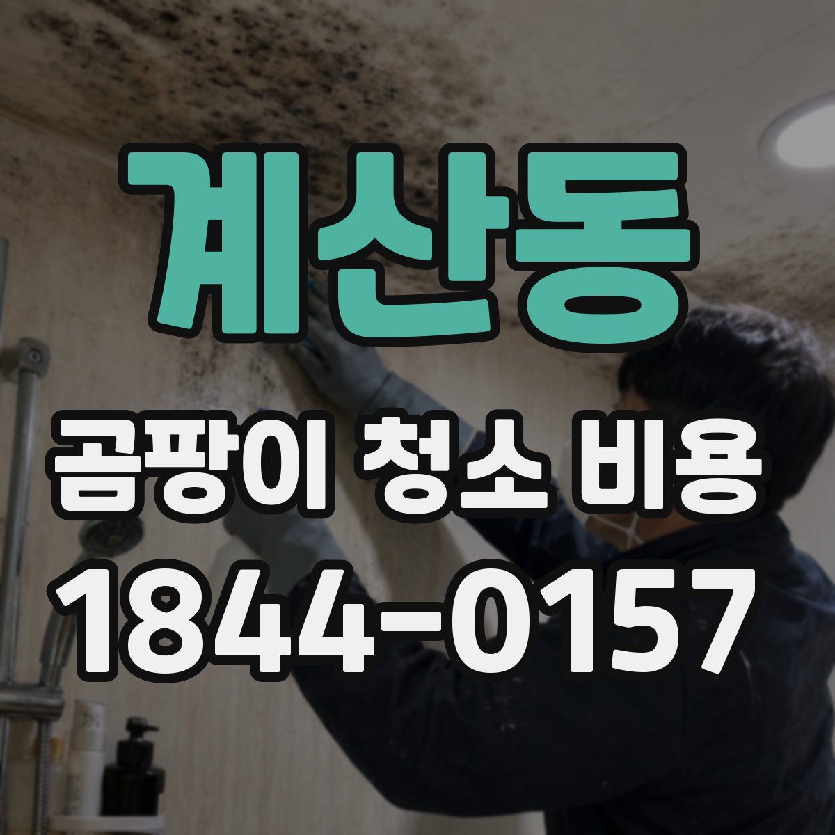 계산동 곰팡이 청소 비용