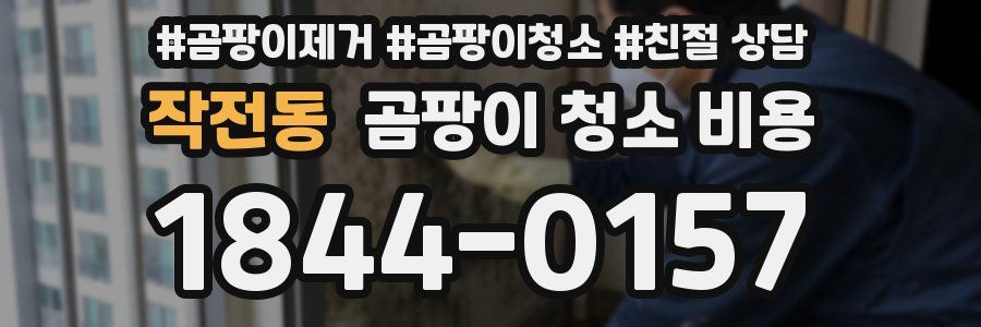 작전동 곰팡이 청소 비용