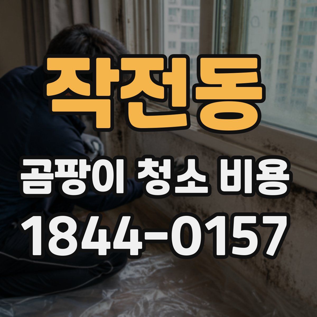 작전동 곰팡이 청소 비용