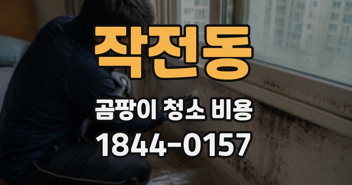 작전동 곰팡이 청소 비용