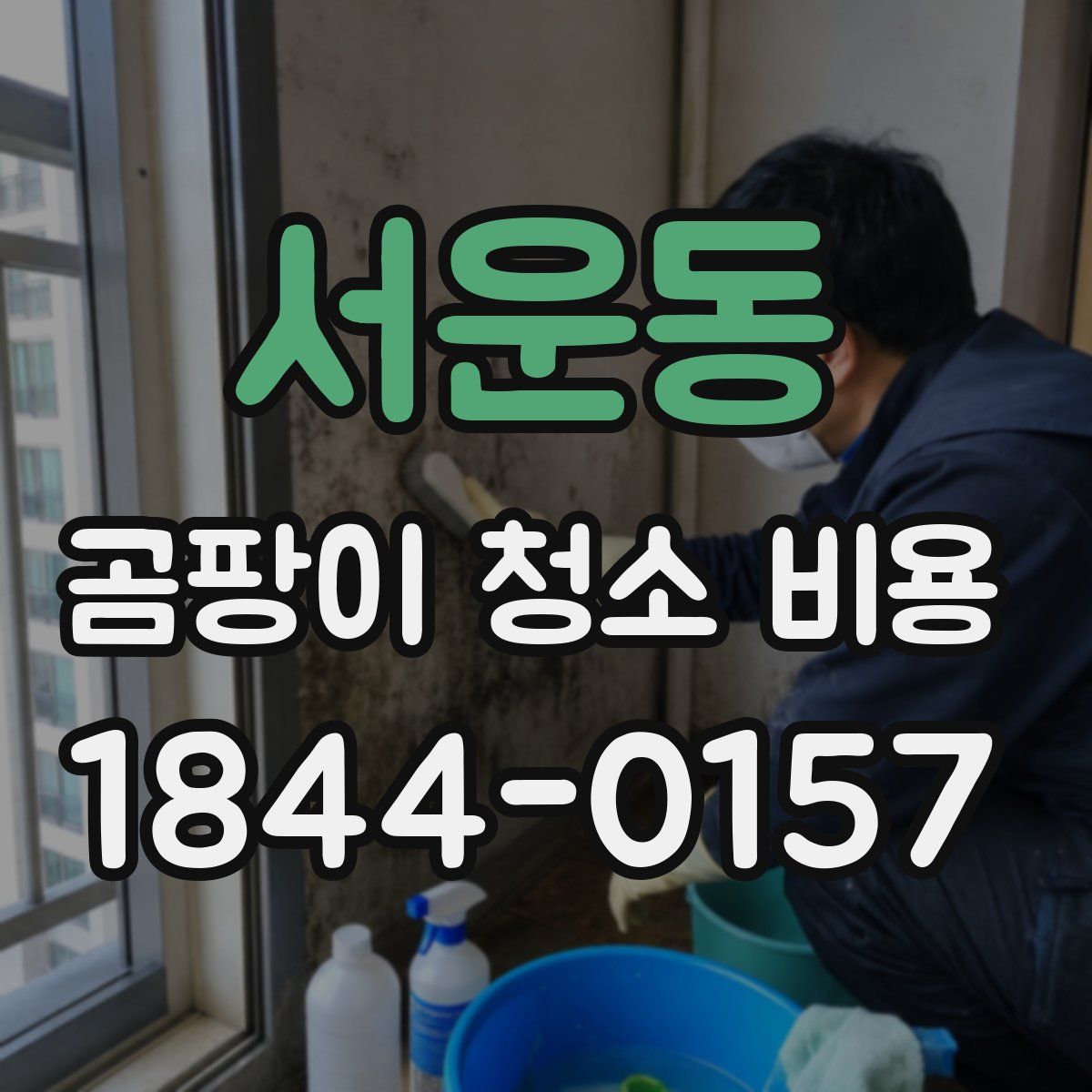 서운동 곰팡이 청소 비용