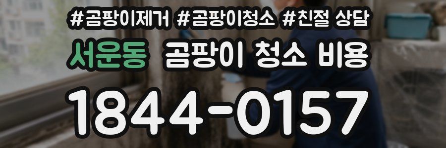 서운동 곰팡이 청소 비용