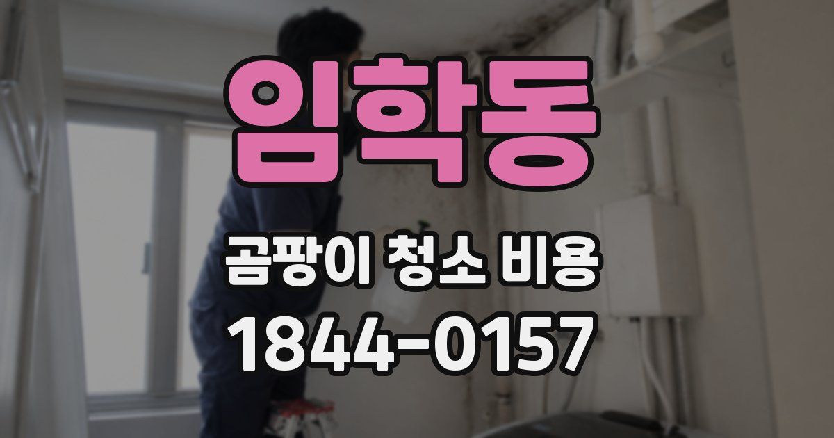 임학동 곰팡이 청소 비용