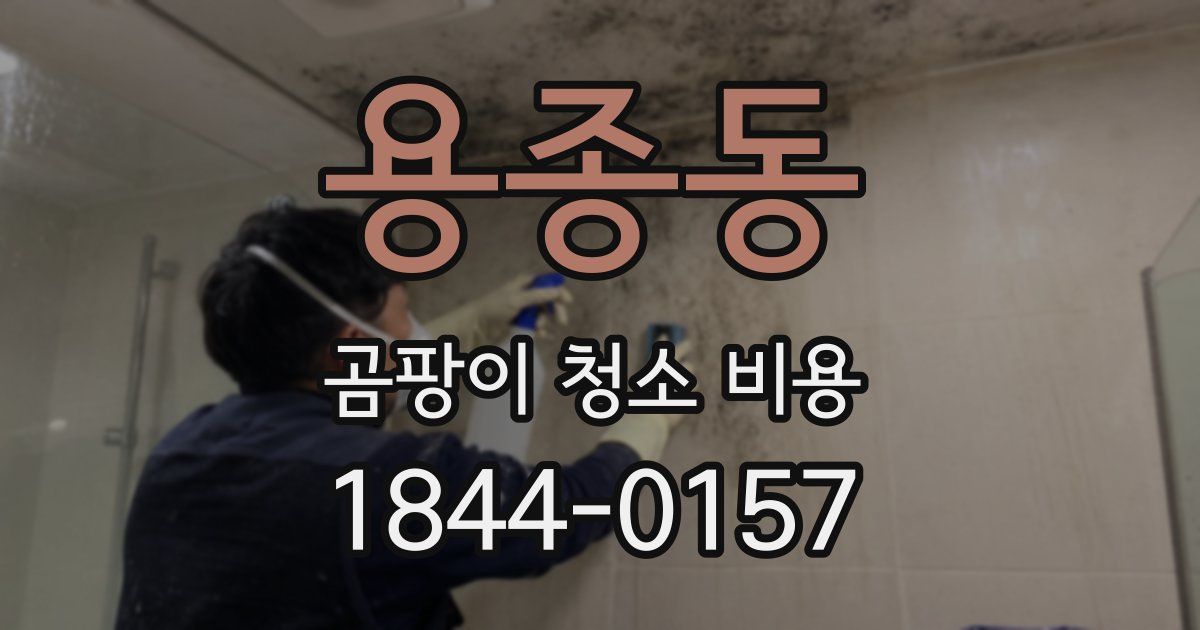 용종동 곰팡이 청소 비용