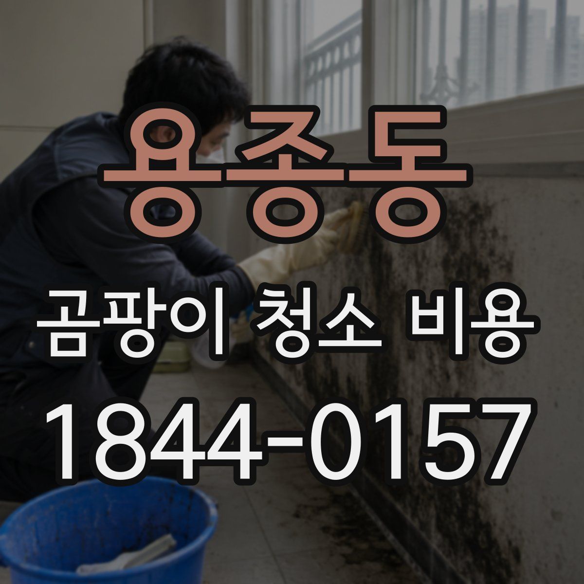 용종동 곰팡이 청소 비용