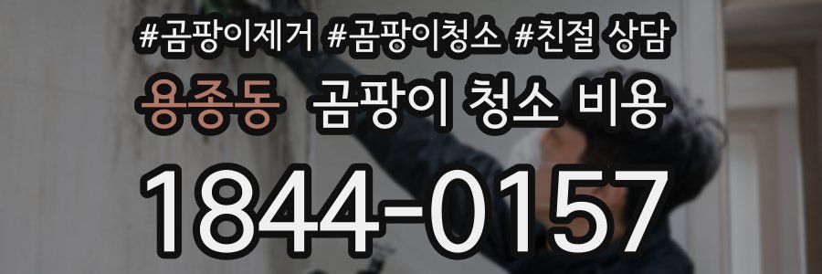 용종동 곰팡이 청소 비용