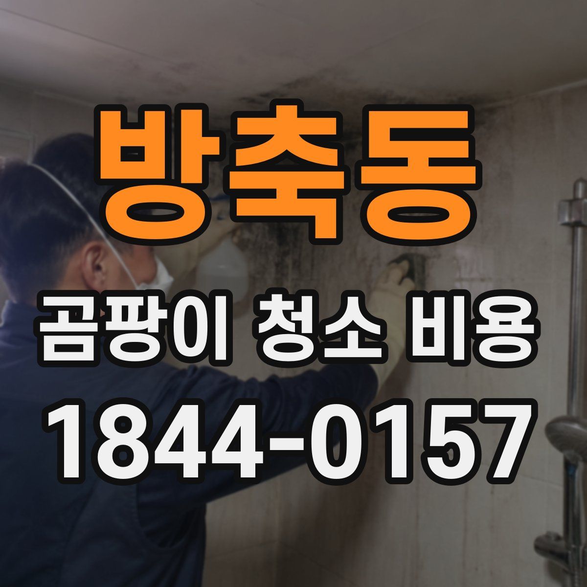 방축동 곰팡이 청소 비용