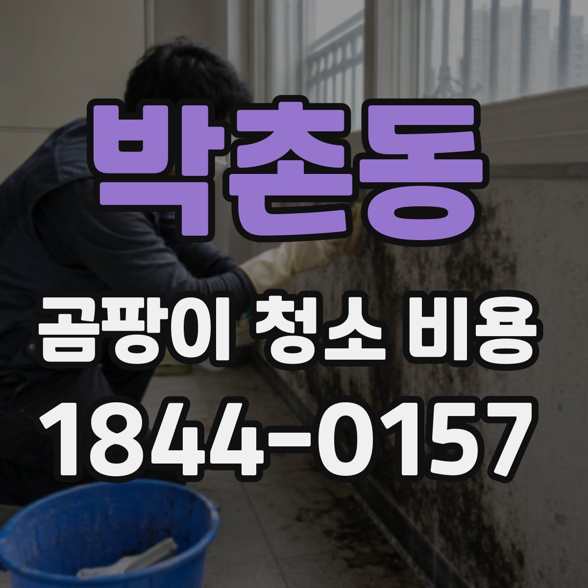 박촌동 곰팡이 청소 비용