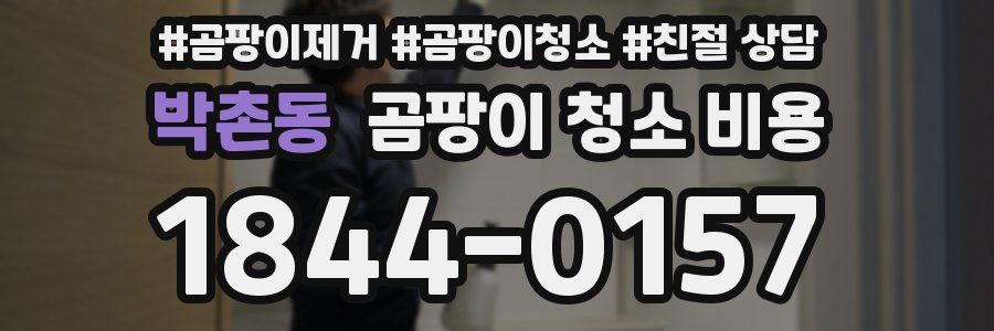 박촌동 곰팡이 청소 비용