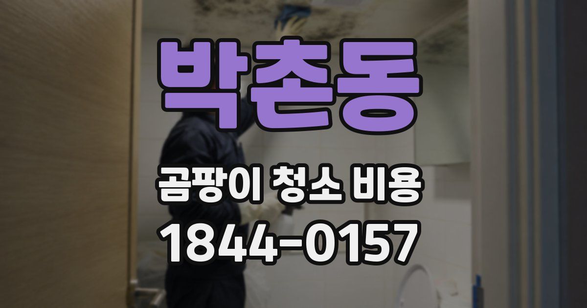 박촌동 곰팡이 청소 비용