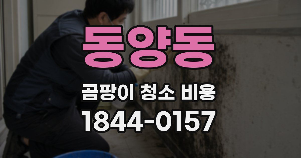 동양동 곰팡이 청소 비용