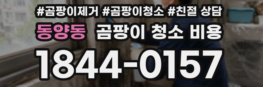동양동 곰팡이 청소 비용