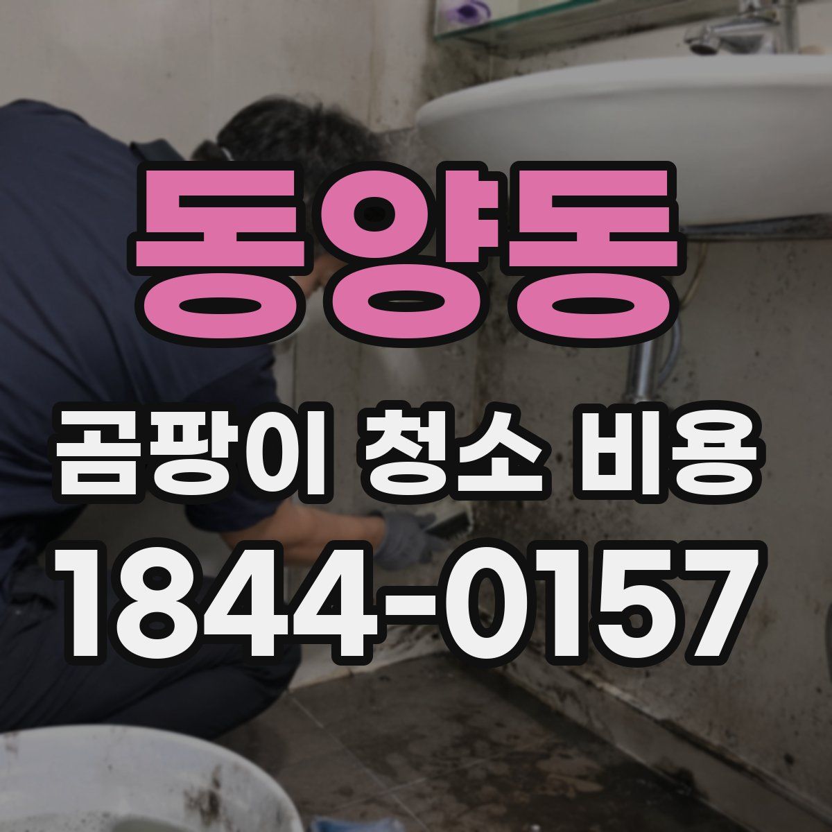 동양동 곰팡이 청소 비용