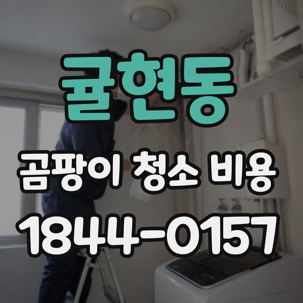 귤현동 곰팡이 청소 비용