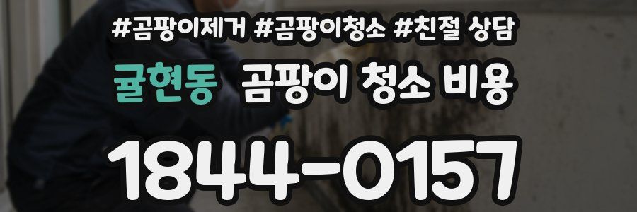 귤현동 곰팡이 청소 비용