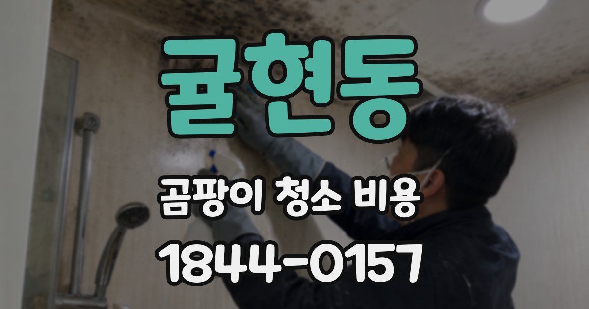 귤현동 곰팡이 청소 비용