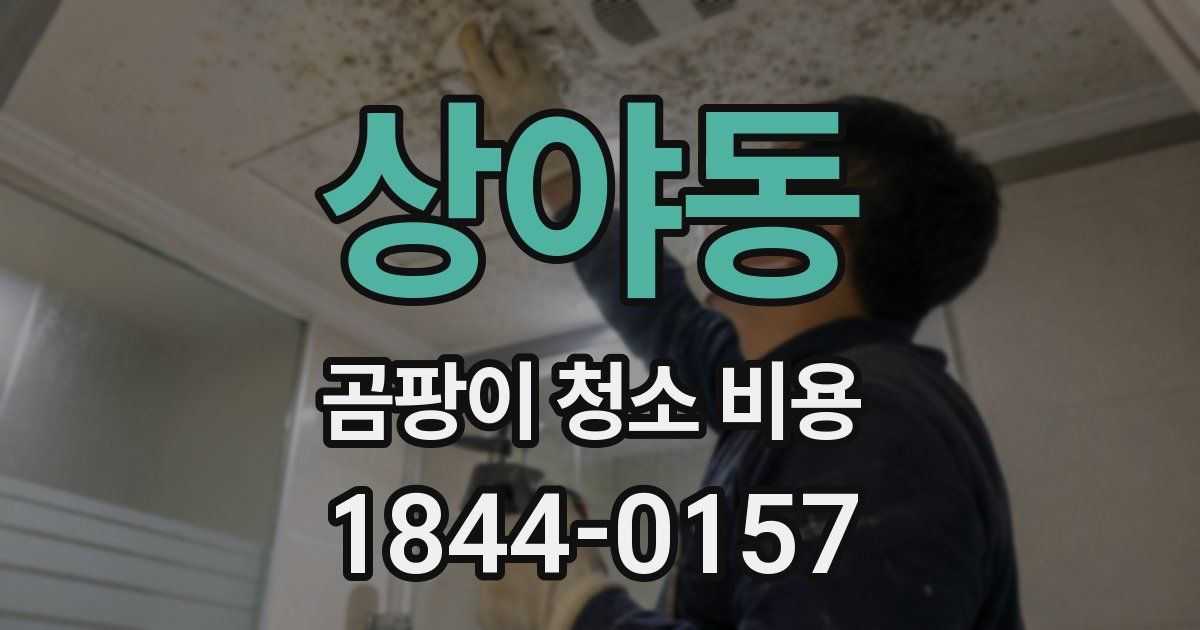 상야동 곰팡이 청소 비용