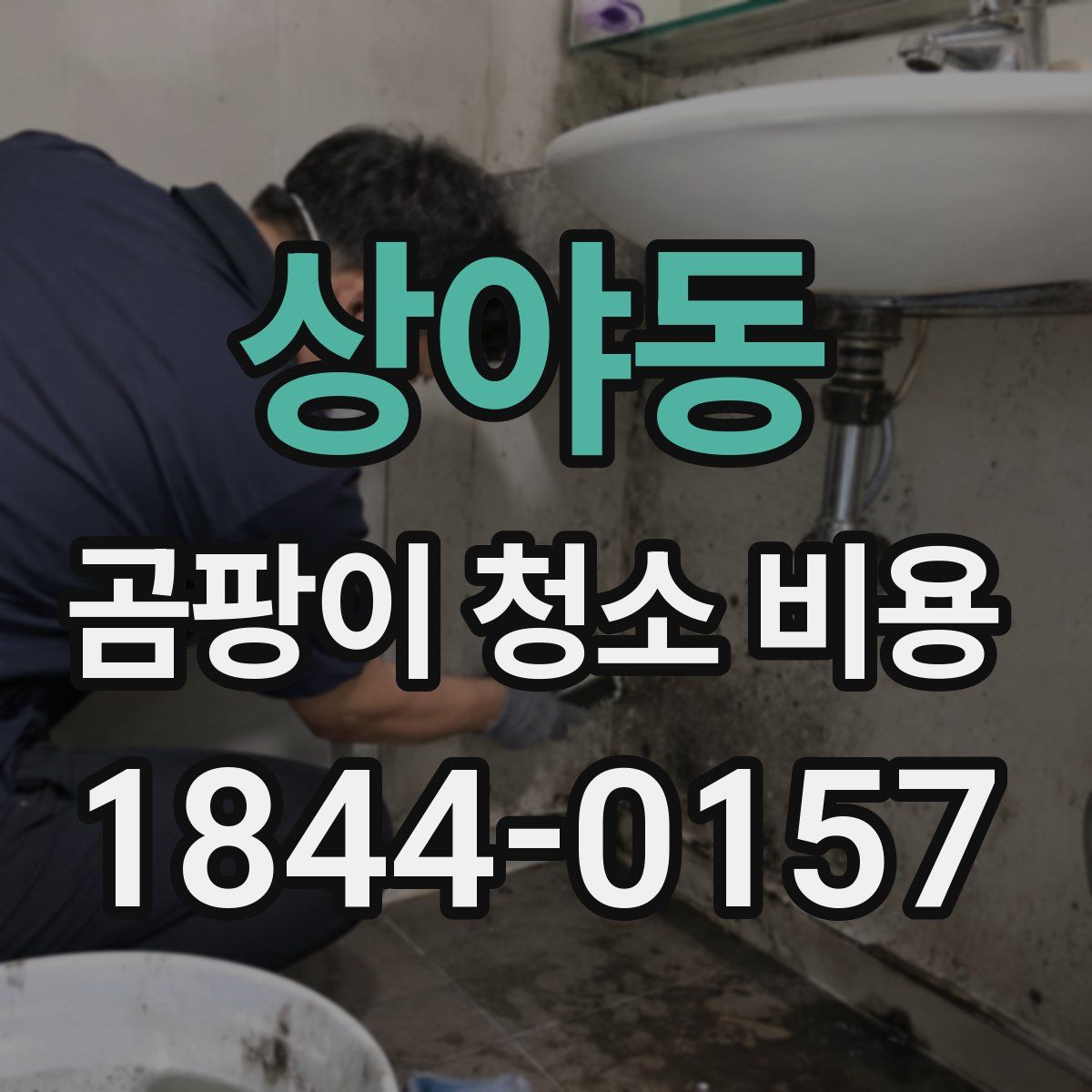 상야동 곰팡이 청소 비용