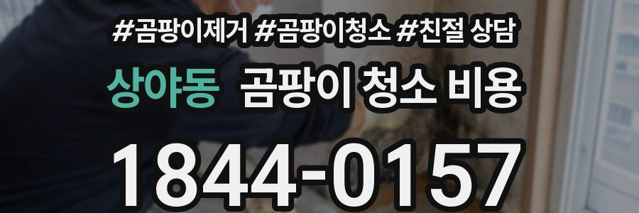 상야동 곰팡이 청소 비용