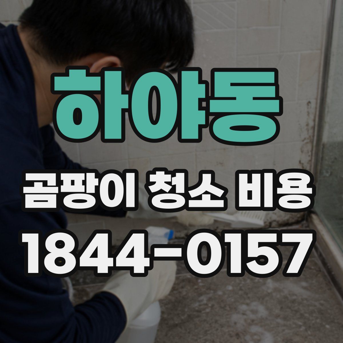 하야동 곰팡이 청소 비용