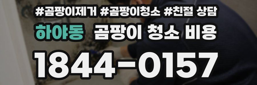 하야동 곰팡이 청소 비용