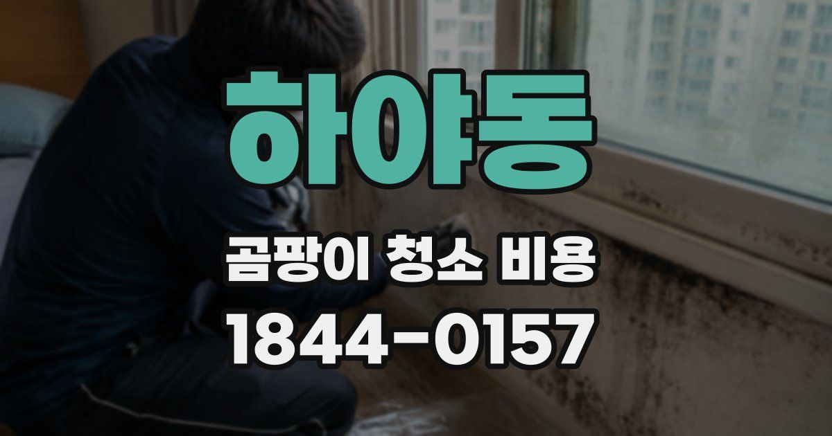 하야동 곰팡이 청소 비용