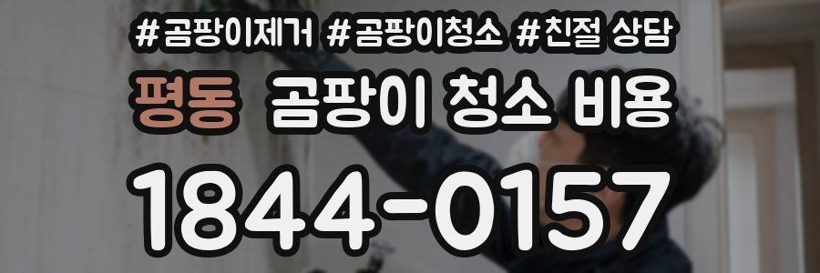 평동 곰팡이 청소 비용