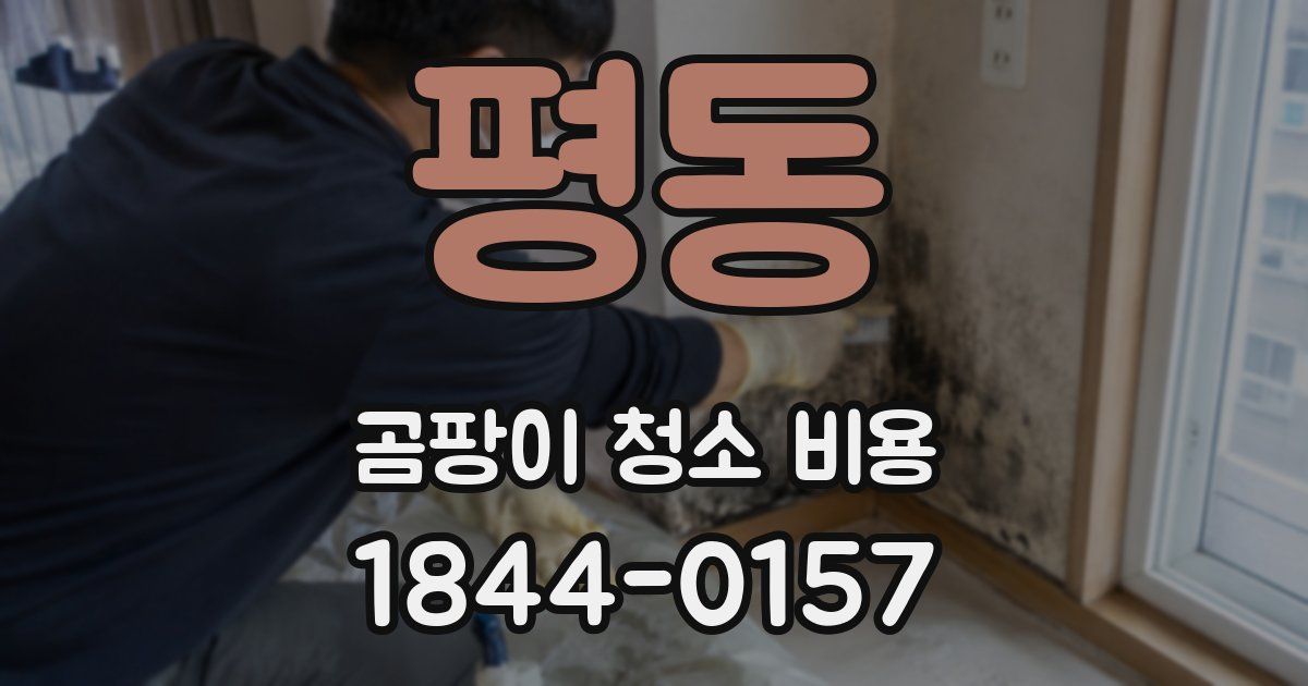 평동 곰팡이 청소 비용