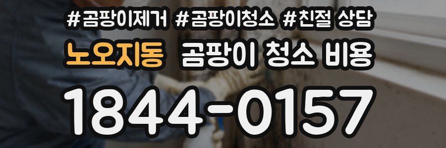 노오지동 곰팡이 청소 비용
