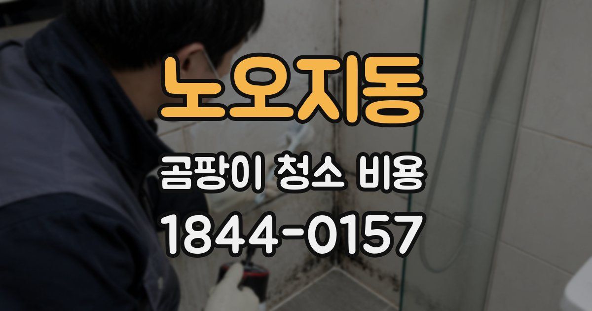 노오지동 곰팡이 청소 비용