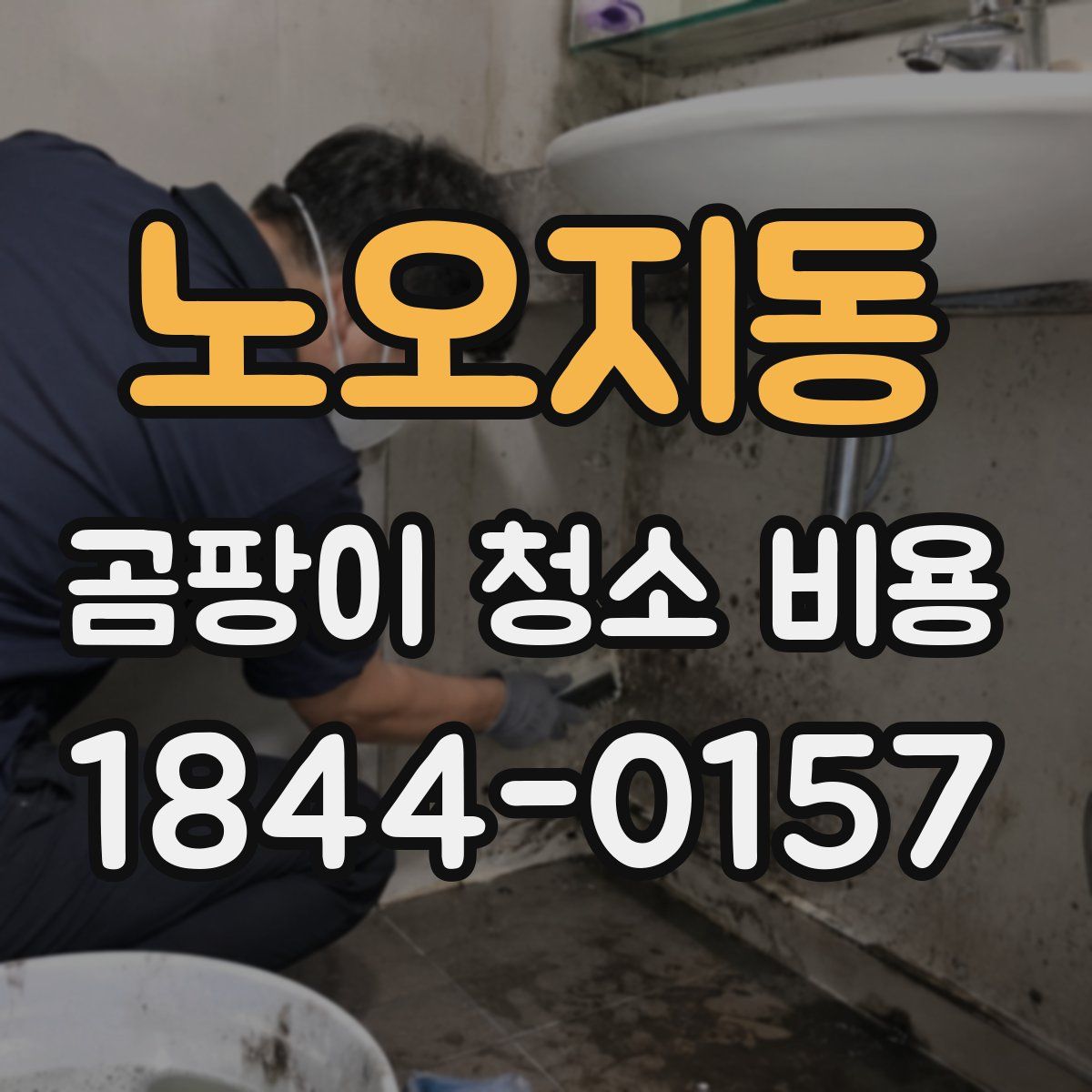 노오지동 곰팡이 청소 비용