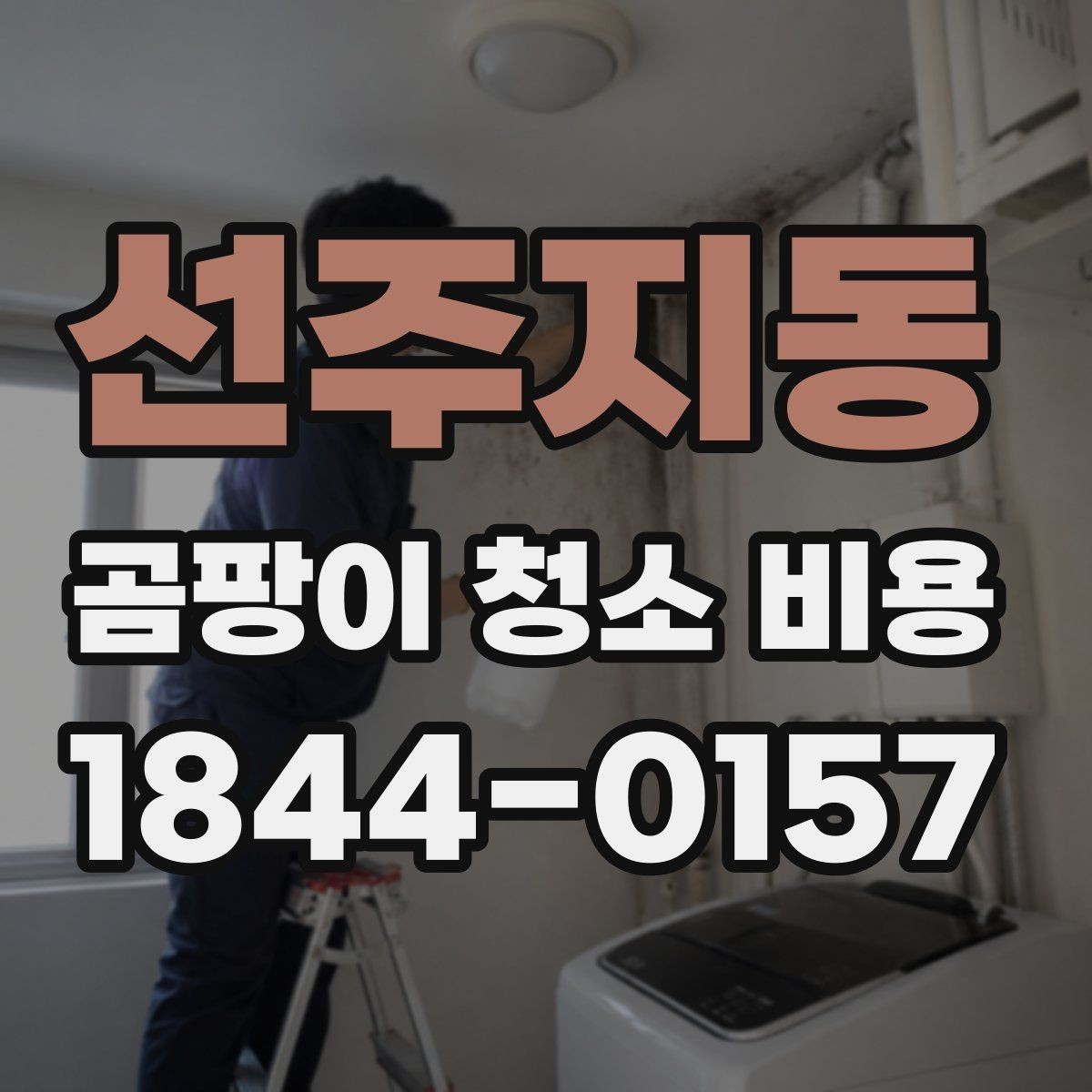 선주지동 곰팡이 청소 비용 상담 시 자주 나오는 오해