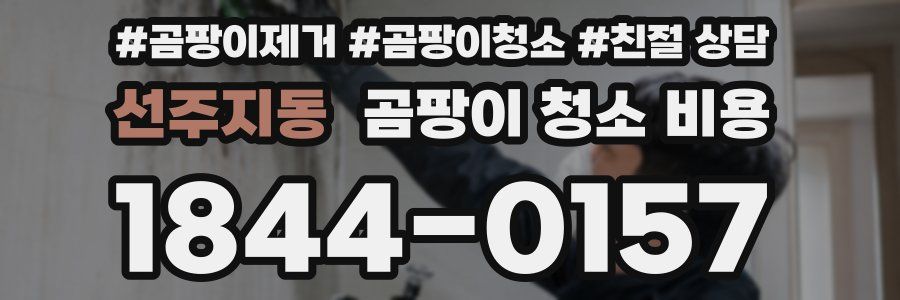 선주지동 곰팡이 청소 비용