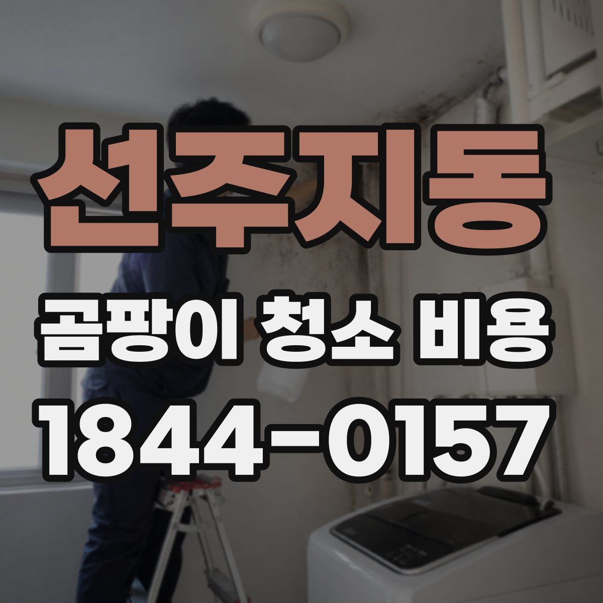 선주지동 곰팡이 청소 비용