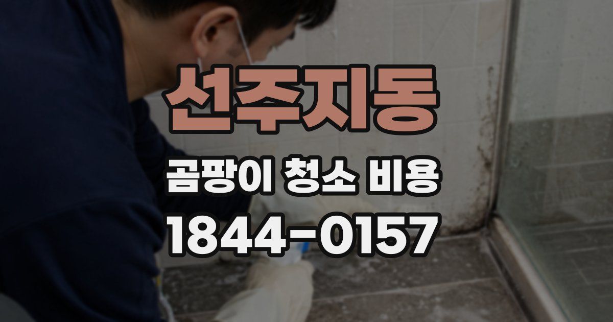 선주지동 곰팡이 청소 비용