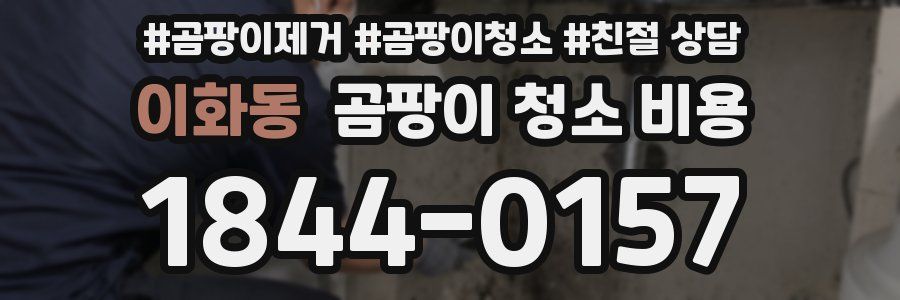 이화동 곰팡이 청소 비용