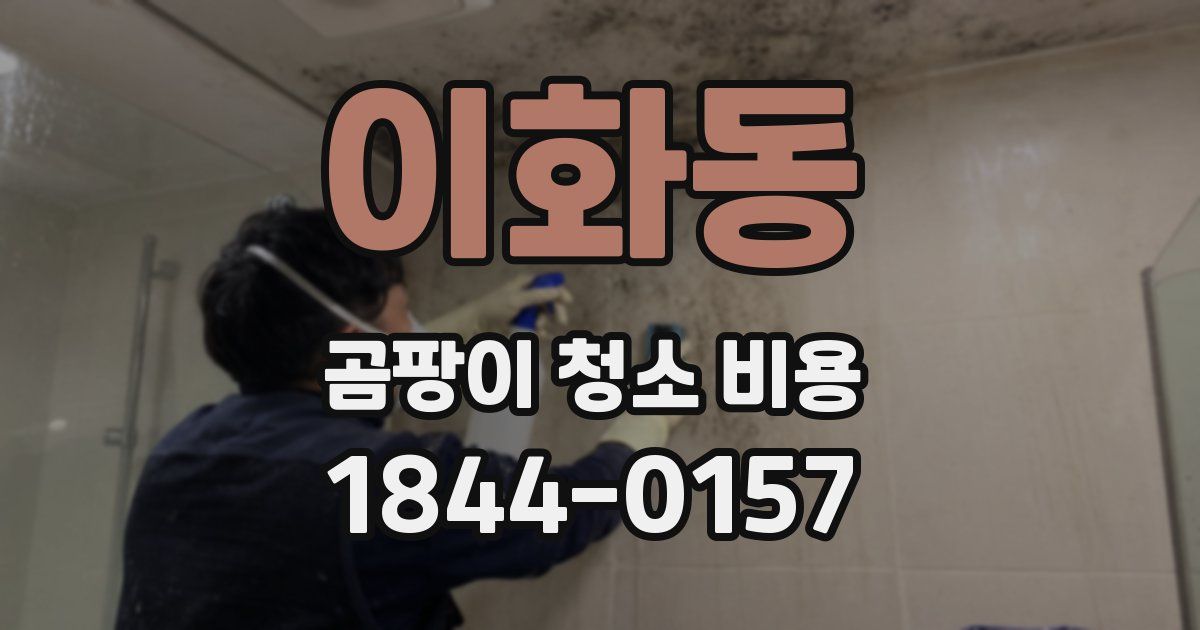 이화동 곰팡이 청소 비용
