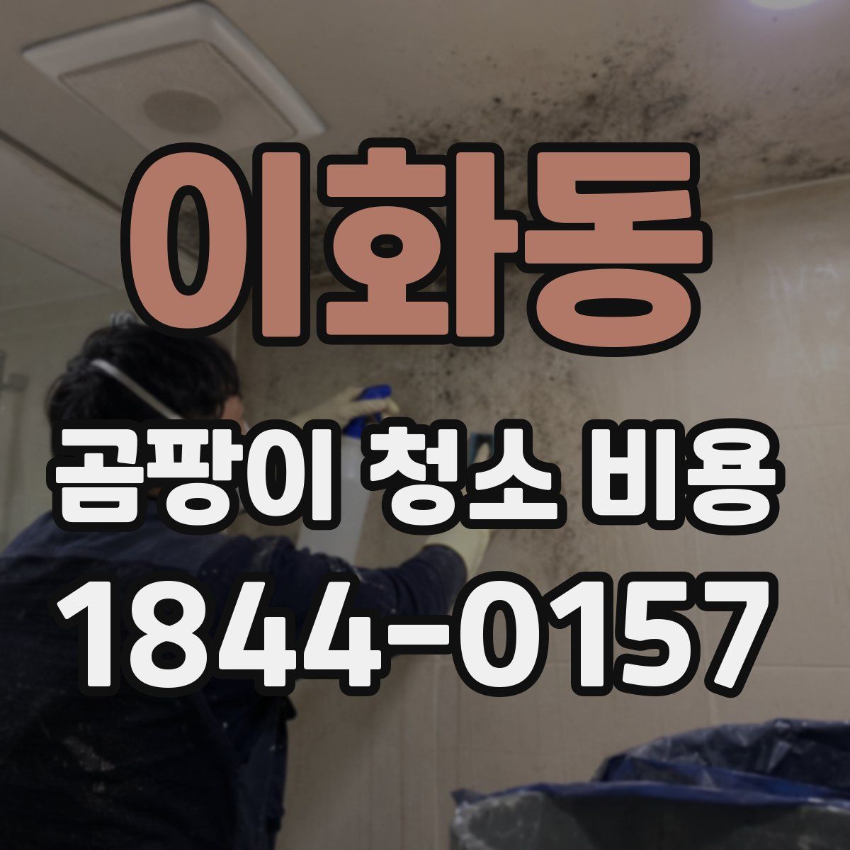 이화동 곰팡이 청소 비용