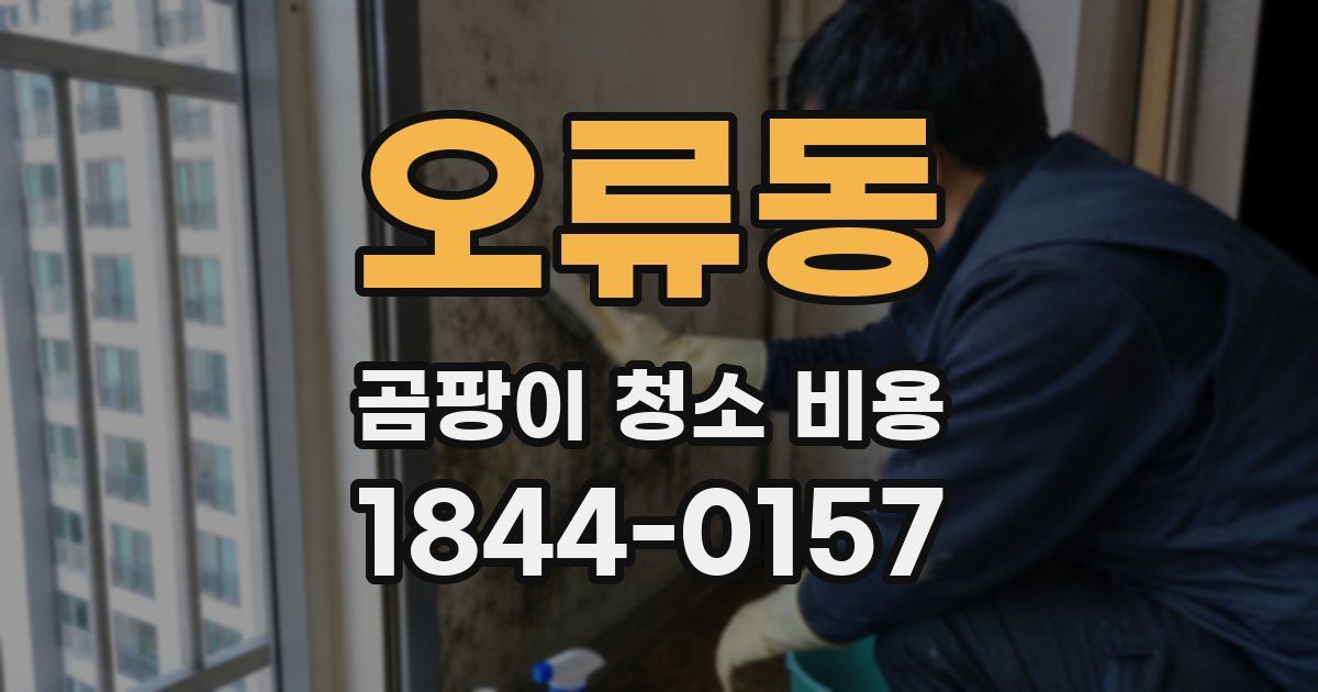 오류동 곰팡이 청소 비용