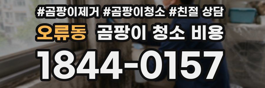 오류동 곰팡이 청소 비용