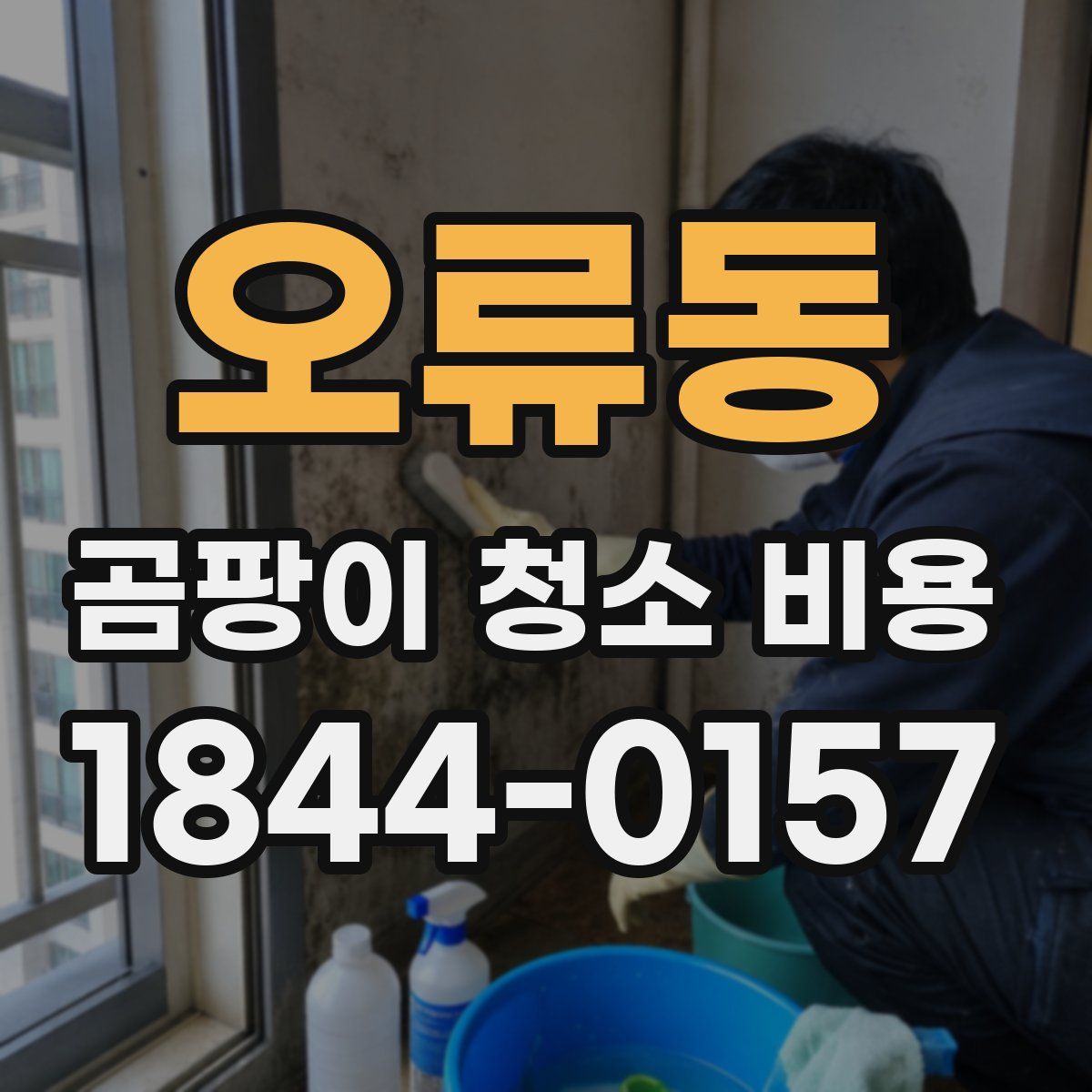 오류동 곰팡이 청소 비용