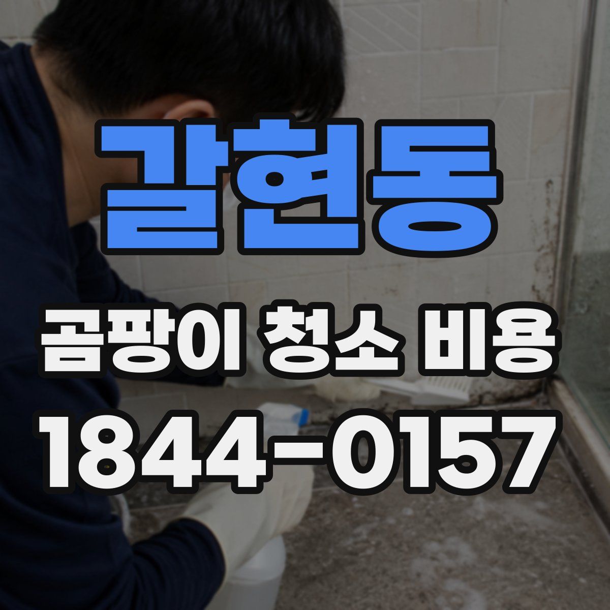 갈현동 곰팡이 청소 비용