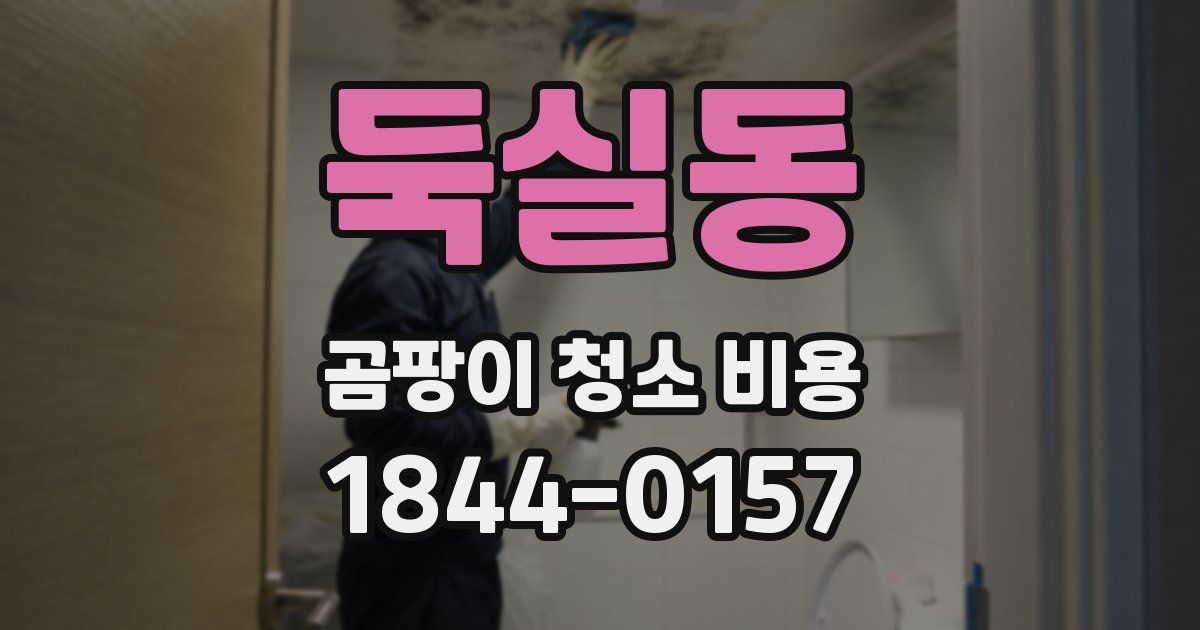 둑실동 곰팡이 청소 비용