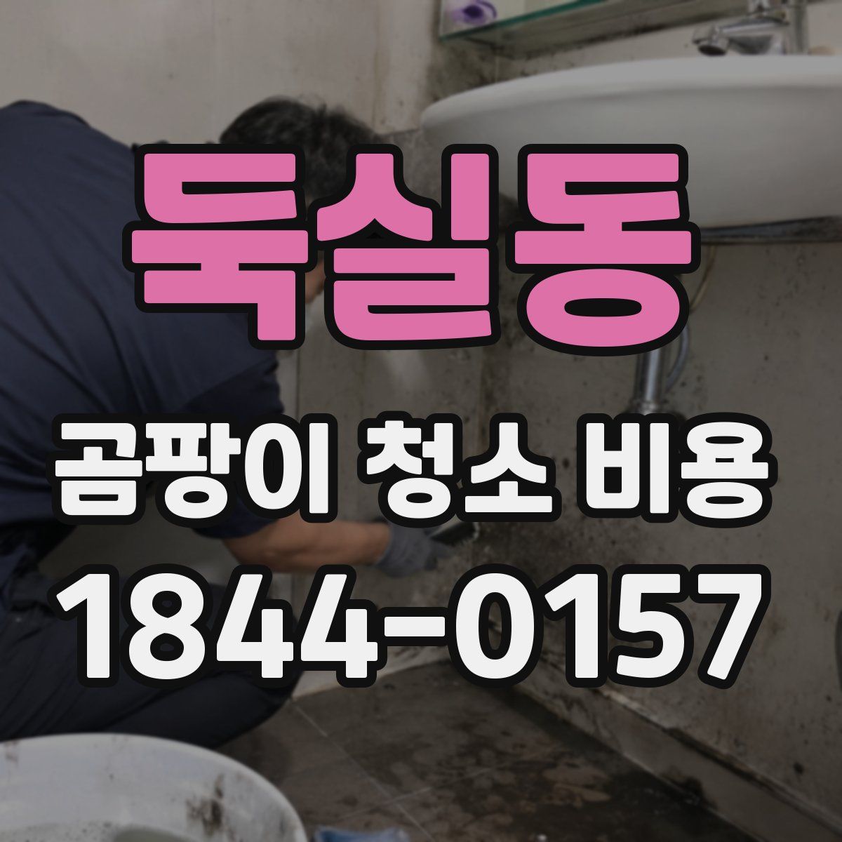 둑실동 곰팡이 청소 비용