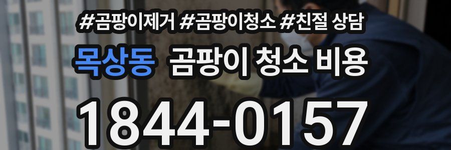 목상동 곰팡이 청소 비용