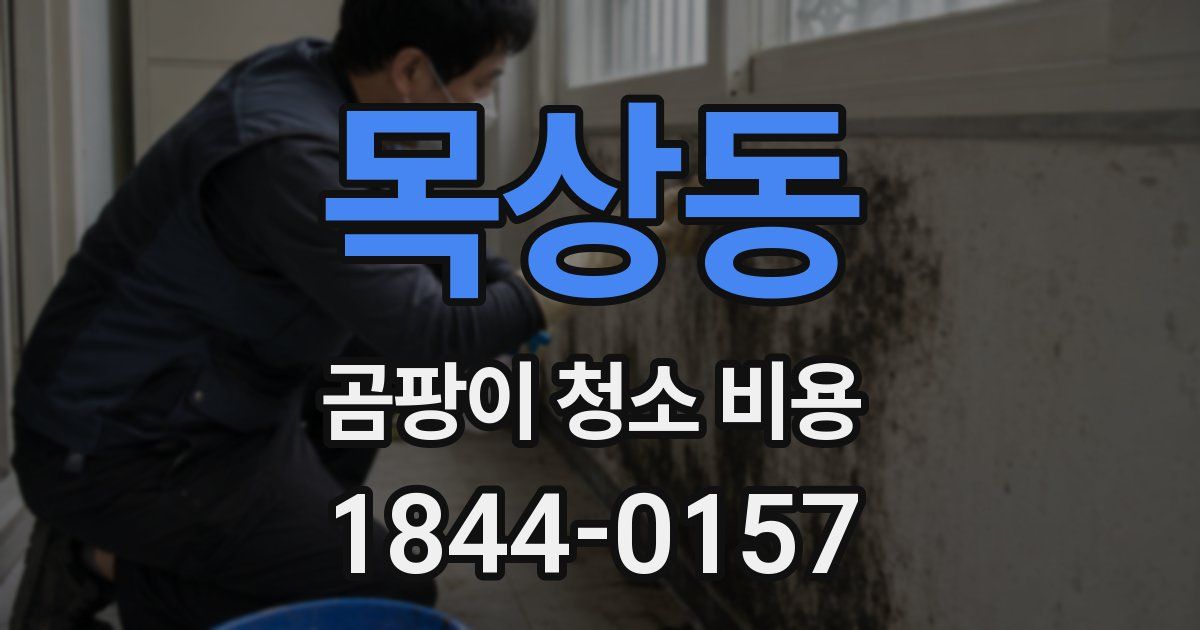목상동 곰팡이 청소 비용