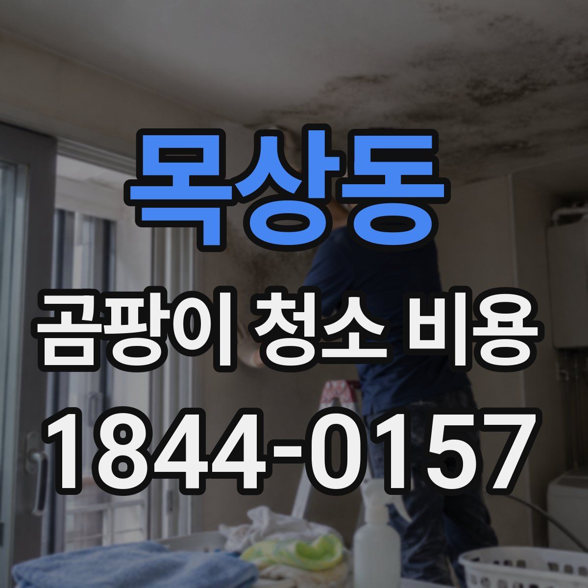 목상동 곰팡이 청소 비용