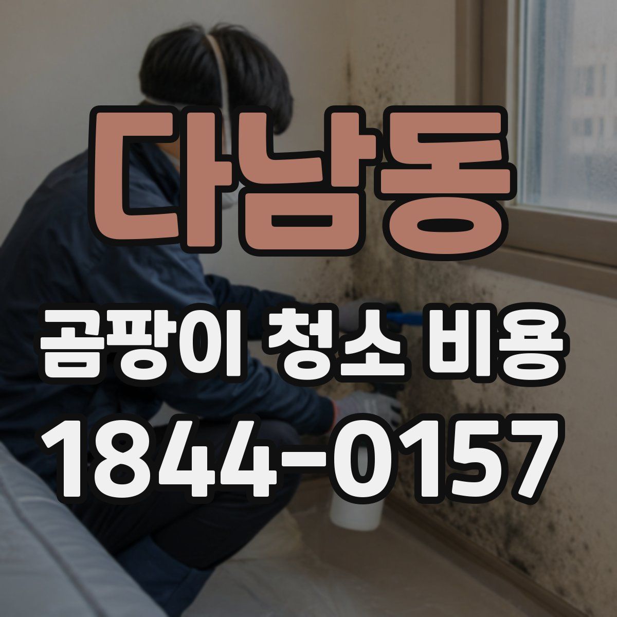 다남동 곰팡이 청소 비용