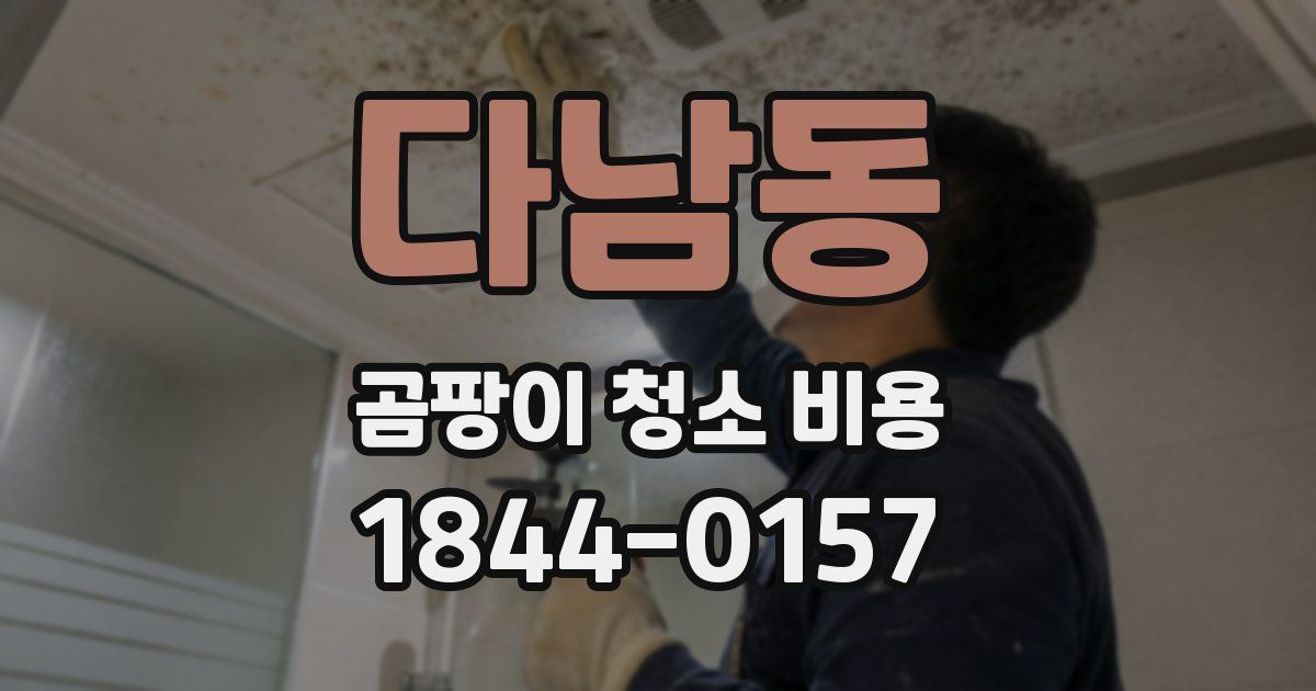 다남동 곰팡이 청소 비용